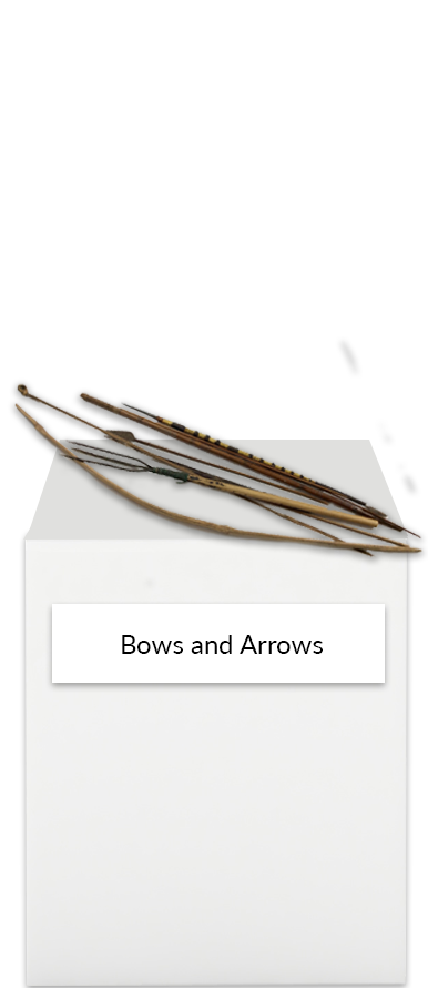 Bows Arrows